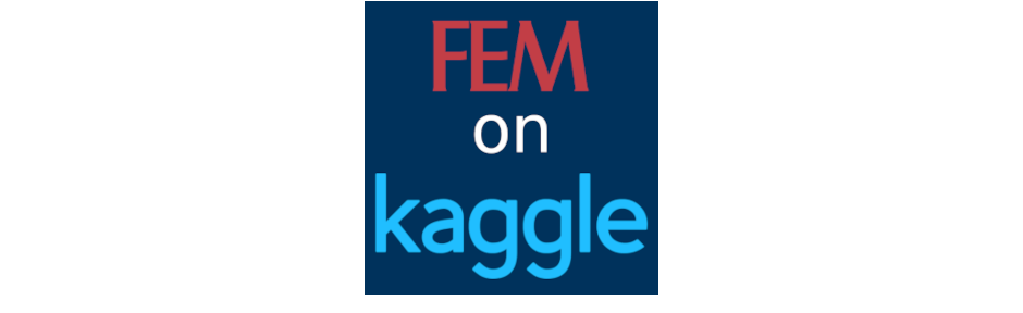 _images/fem-on-kaggle-slider.png